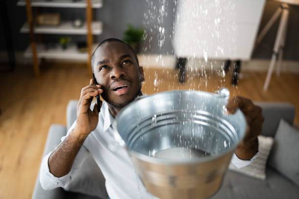 Best Carpet water damage restoration  in Clover Creek, WA