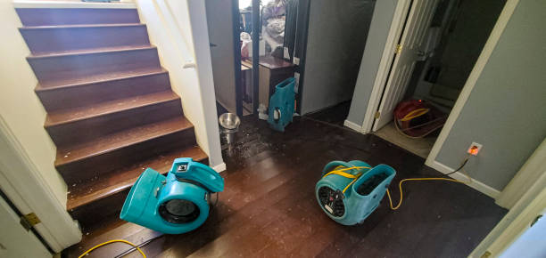 Sewage cleanup and water damage restoration in WA