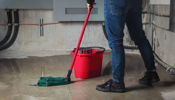 Best Professional water damage repair  in Clover Creek, WA