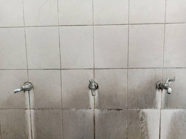 Best 24-hour water damage restoration  in Clover Creek, WA
