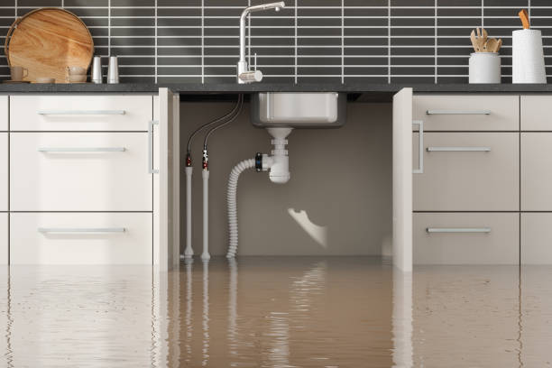 Best Sewage cleanup and water damage restoration  in Clover Creek, WA