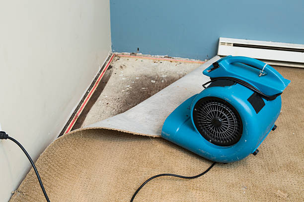 Best 24/7 water damage repair  in Clover Creek, WA